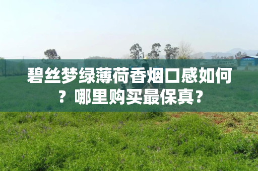 碧丝梦绿薄荷香烟口感如何？哪里购买最保真？